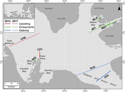 Biological Impact of Ocean Acidification in the Canadian Arctic: Widespread Severe Pteropod Shell Dissolution in Amundsen Gulf